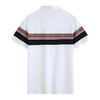 夏季男士polo衫插色条纹短袖多色休闲百搭高品质上衣  HLS-W2822006 商品缩略图4