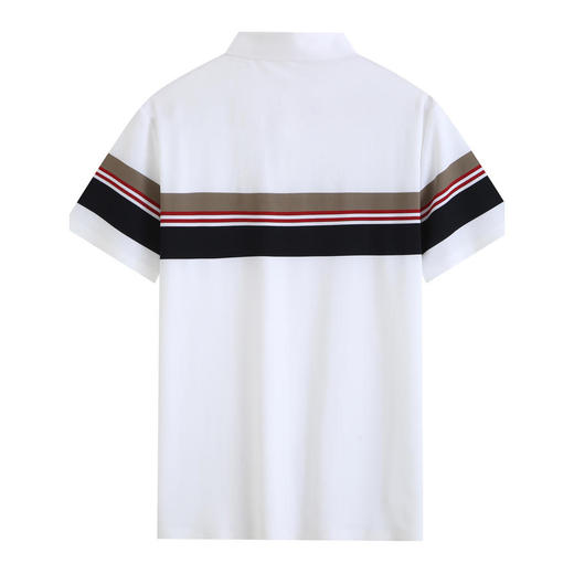 夏季男士polo衫插色条纹短袖多色休闲百搭高品质上衣  HLS-W2822006 商品图4