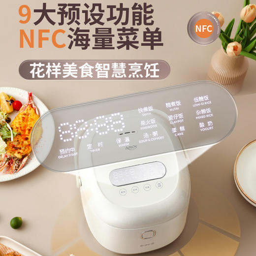 亚摩斯钛·电 饭 煲AS-FB309T 商品图0
