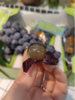 黑玫瑰葡萄一箱 商品缩略图2