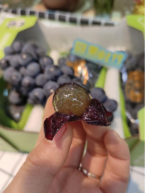 黑玫瑰葡萄一箱 商品图2