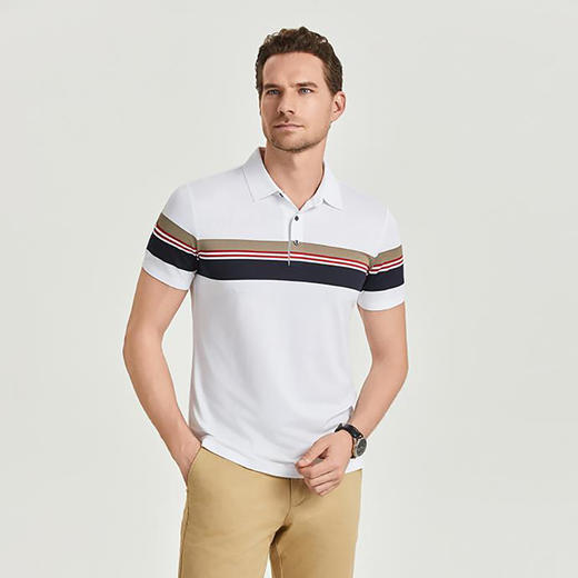 夏季男士polo衫插色条纹短袖多色休闲百搭高品质上衣  HLS-W2822006 商品图0