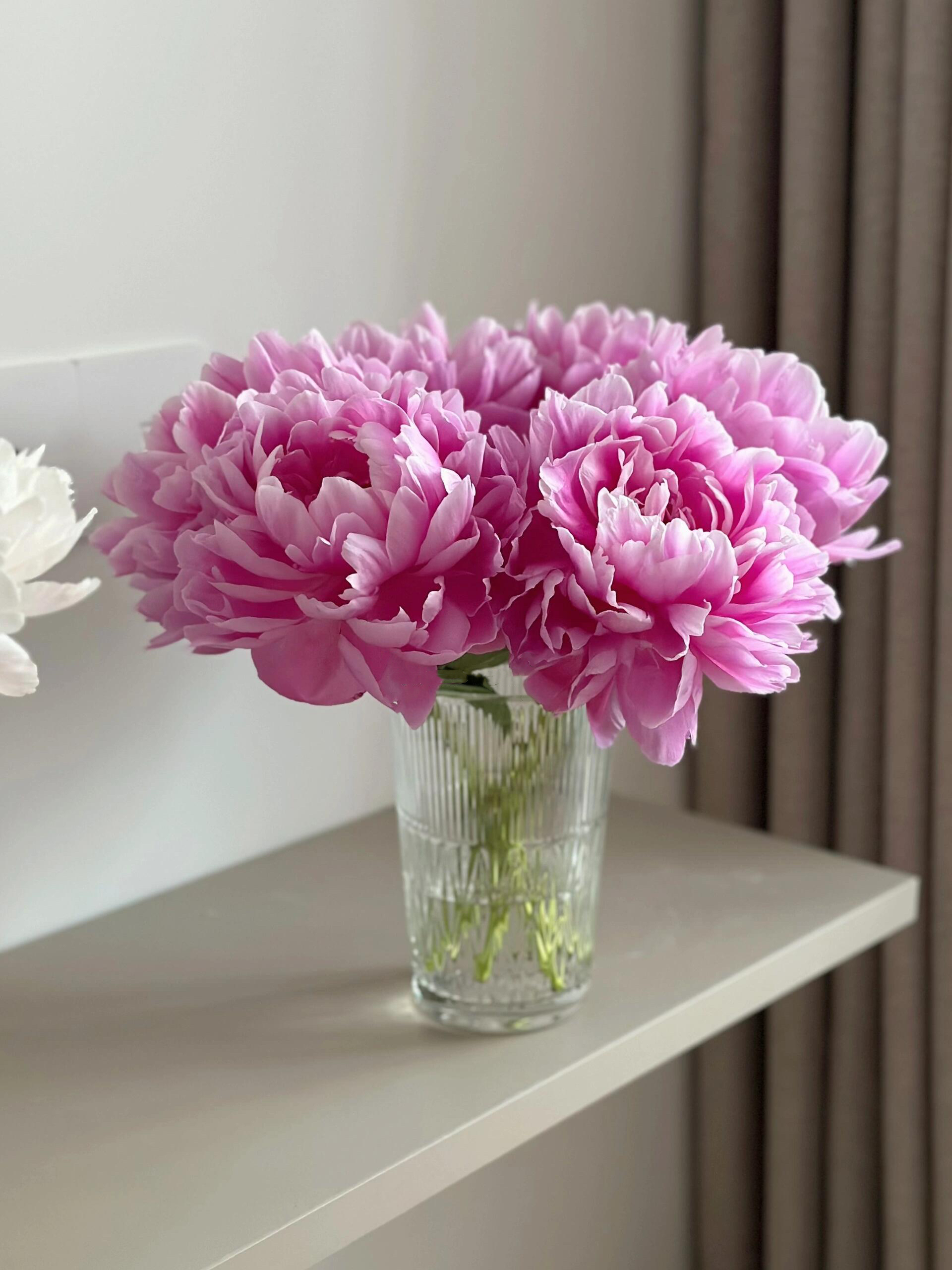 【预售！4.20起陆续发出】爱马仕【人间四月天，芍药铺庭前】简小姐精选芍药季2025年新品 爱马仕 2件包邮 顺丰直发