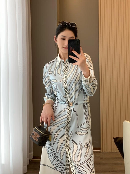 TB新款外贸原单斜纹天丝衬衫式直筒连衣裙 商品图3