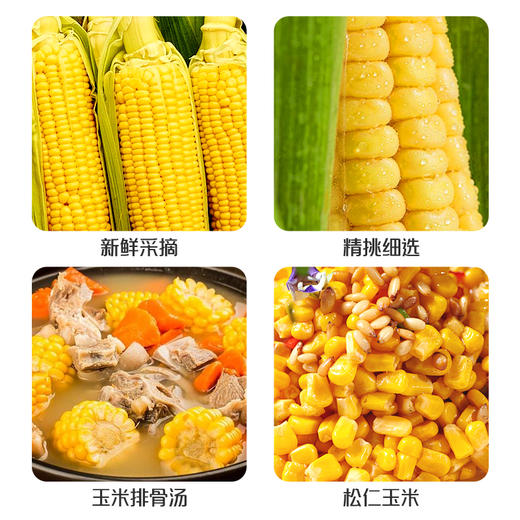 食盛源富硒糯甜玉米2000g 商品图2