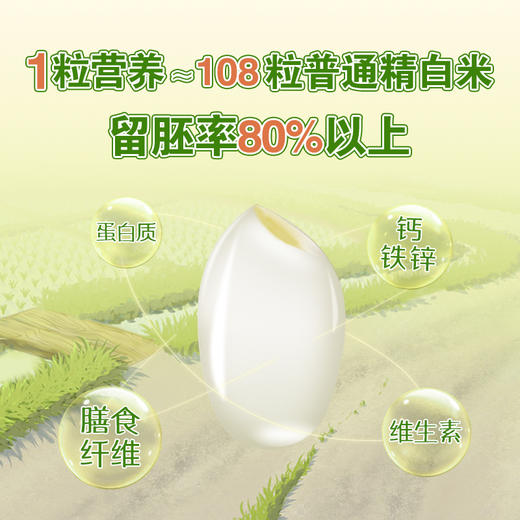 黑马博士胚芽米（六面）2.5kg 商品图1