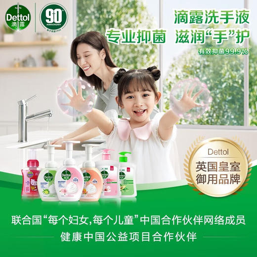 滴露洗手液植物450g+自然450g 商品图3