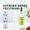 MM 山姆 Rione del Falco意大利进口 灰皮诺干白葡萄酒 750ml 商品缩略图1
