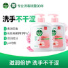 滴露洗手液滋润倍护450g+450g 商品缩略图1