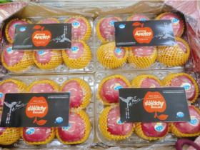 雪原富士苹果一盒