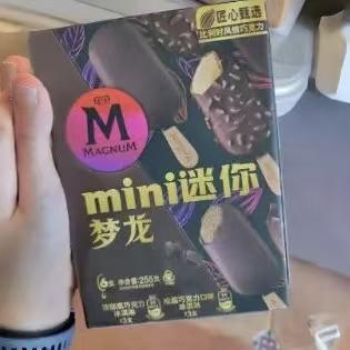 （6支）迷你梦龙 浓郁黑巧克力+松露巧克力 商品图0