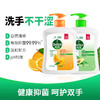 滴露洗手液植物450g+自然450g 商品缩略图1