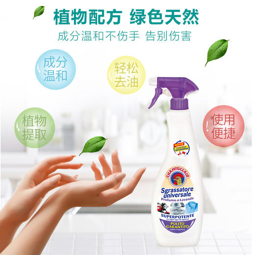 大公鸡管家 多能油污净（薰衣草）600ml 商品图6