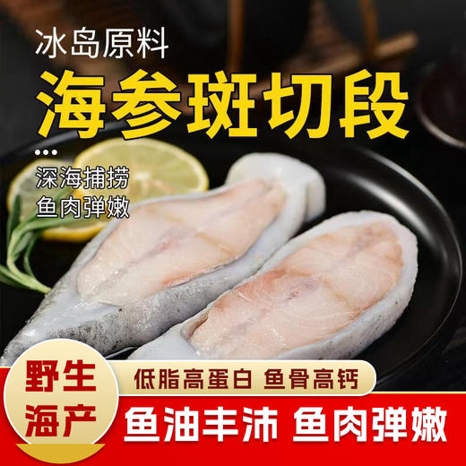 【野生海产】海参斑切段500g 大西洋纯净海域 商品图0