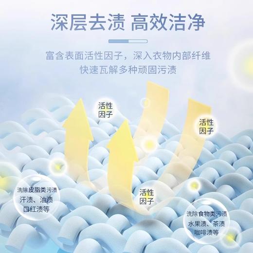 大公鸡管家 衣领净500mL 商品图2