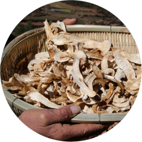 【香格里拉松茸】干货50克