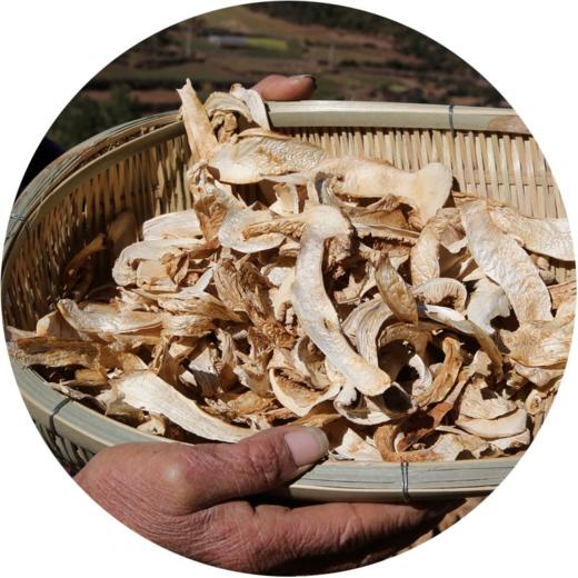 【香格里拉松茸】干货50克 商品图0
