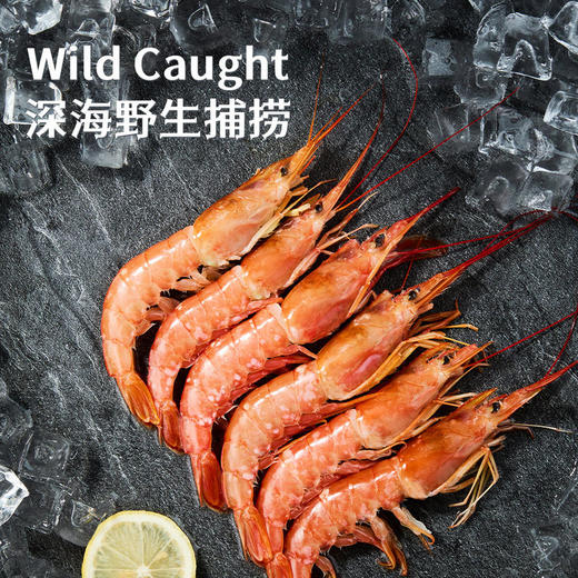 MM 山姆 船冻阿根廷大红虾 2kg 商品图1