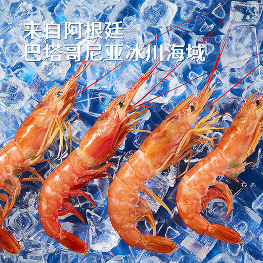 MM 山姆 船冻阿根廷大红虾 2kg 商品图5