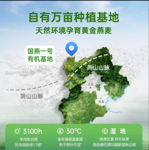 【麦麦SY】农科院推荐好麦多国燕一号有机燕麦片中老年营养早餐冲饮即食代餐高蛋白低脂减肥 商品图5