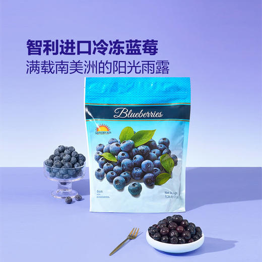 MM 山姆 SOUTHERN SUN 智利进口冷冻蓝莓 1袋 1.36kg 商品图1