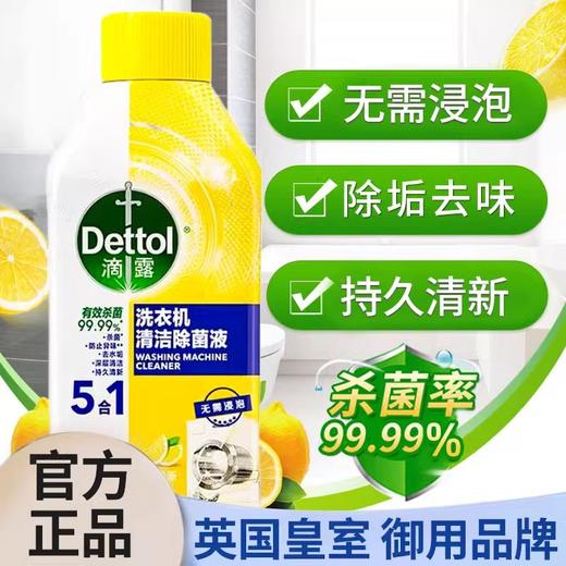 滴露洗衣机清洁除菌液柠檬250ml 商品图0