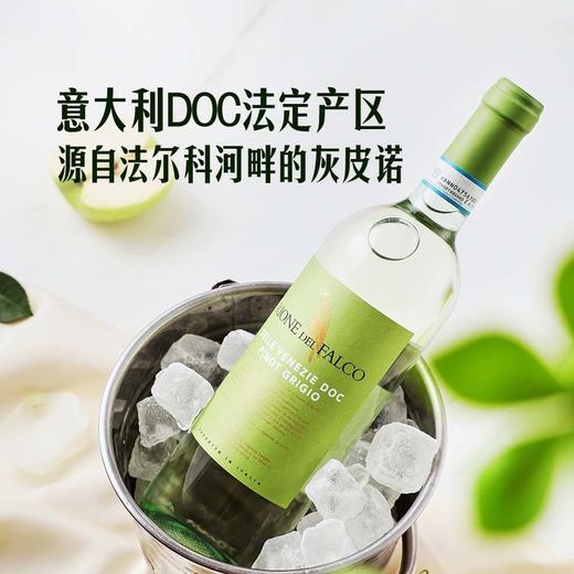 MM 山姆 Rione del Falco意大利进口 灰皮诺干白葡萄酒 750ml 商品图2
