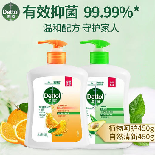 滴露洗手液植物450g+自然450g 商品图0