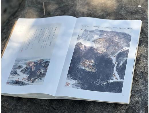 《唐画诗中看：李白、杜甫论画诗散记》，16开平装，王伯敏著，浙江人民美术出版社版次：2025年3月第1版第1次，168页，定价：98元，售价78元。 商品图10