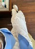 小众法式简约刺绣松紧腰挽花边直筒裤 商品缩略图1