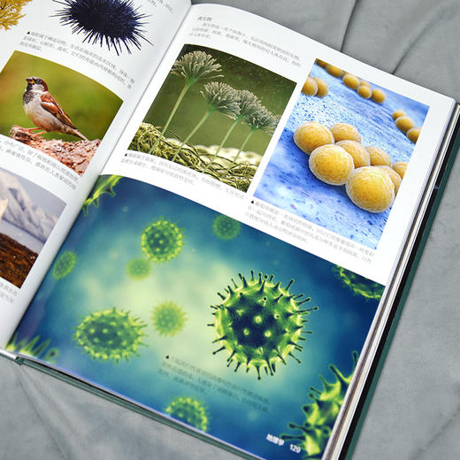 小学生科学大图鉴-分销 商品图2