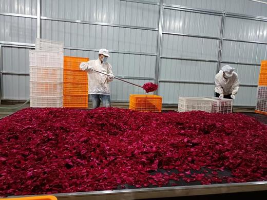 【鲜泡玫瑰醋】 玫瑰花香与醋香交织 浓郁醇厚酸甜开胃 商品图10