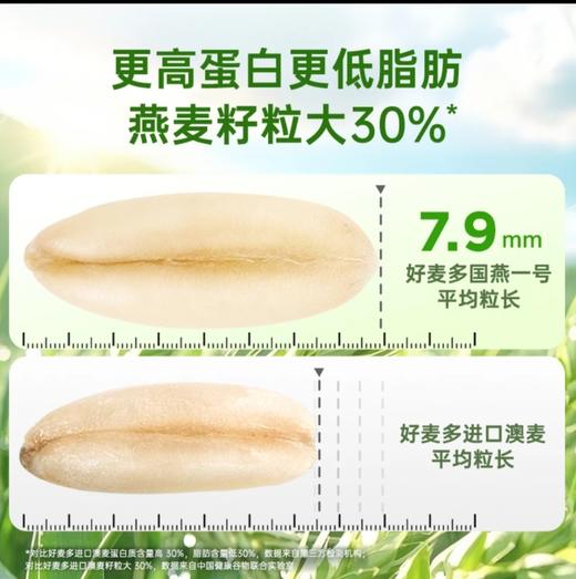 【麦麦SY】农科院推荐好麦多国燕一号有机燕麦片中老年营养早餐冲饮即食代餐高蛋白低脂减肥 商品图4