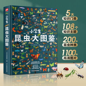 小学生昆虫大图鉴-分销