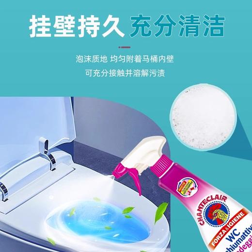 大公鸡管家 马桶洁厕液（漂白款）粉625ml 商品图5