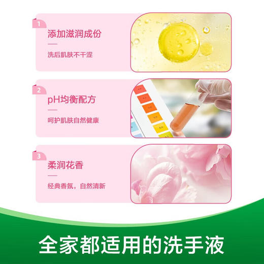 滴露洗手液滋润倍护450g+450g 商品图2