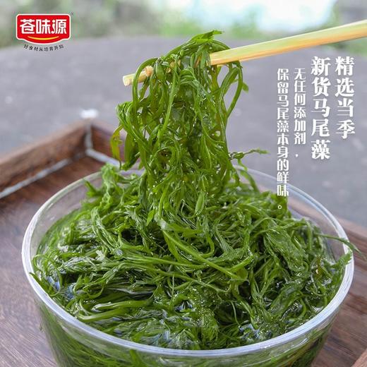 苍味源 火锅鞭炮笋 干货 200g/袋 商品图2
