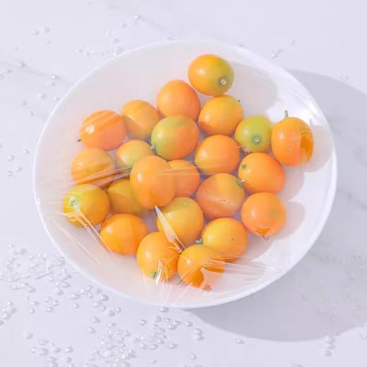 禧天龙Y-80041手撕保鲜膜经济装L50米1卷＊３ 商品图4