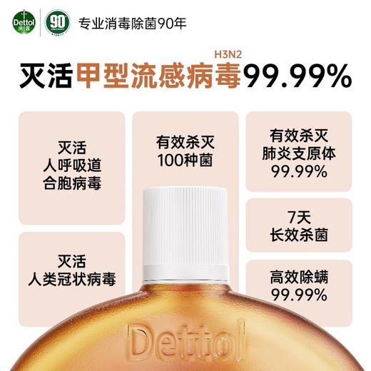 滴露消毒液250ml 商品图0