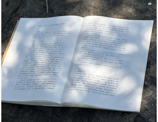 《唐画诗中看：李白、杜甫论画诗散记》，16开平装，王伯敏著，浙江人民美术出版社版次：2025年3月第1版第1次，168页，定价：98元，售价78元。 商品图9