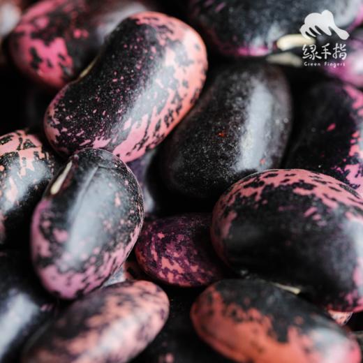 生态高原紫芸豆/白芸豆 | 合作生产*Eco-plateau kidney bean | Partner Production 商品图2