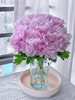 伽玛芍药花大花头5支 商品缩略图8