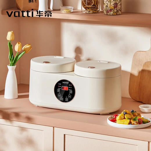 华帝双胆电饭煲VFB019C 商品图1