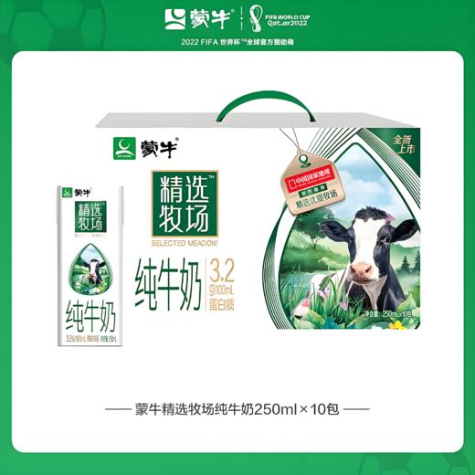 【亚欧超市】蒙牛精选牧场纯牛奶 250ml*10/箱 商品图0