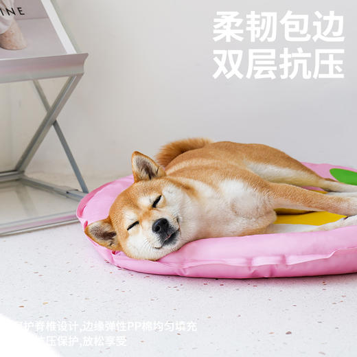 zeze 宠物冰垫合集 商品图3