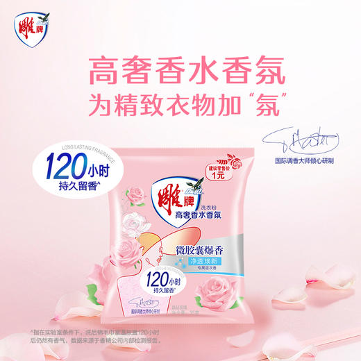 雕牌高奢香水香氛洗衣液1kg(五月玫瑰)+100g*2袋+35g*2袋 商品图2