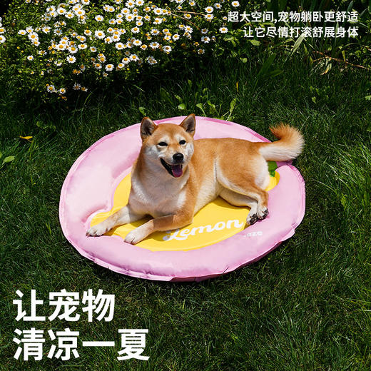 zeze 宠物冰垫合集 商品图4