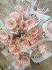 精品花材华沙非洲菊10支 商品缩略图1