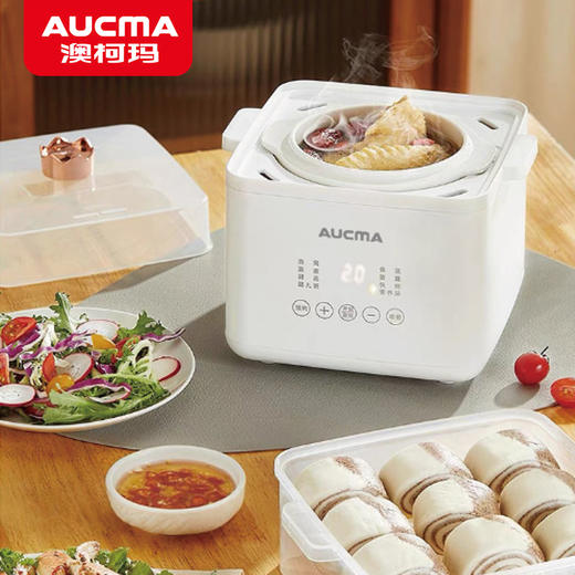 澳柯玛多功能电炖盅ADZ-25HY223F 商品图1