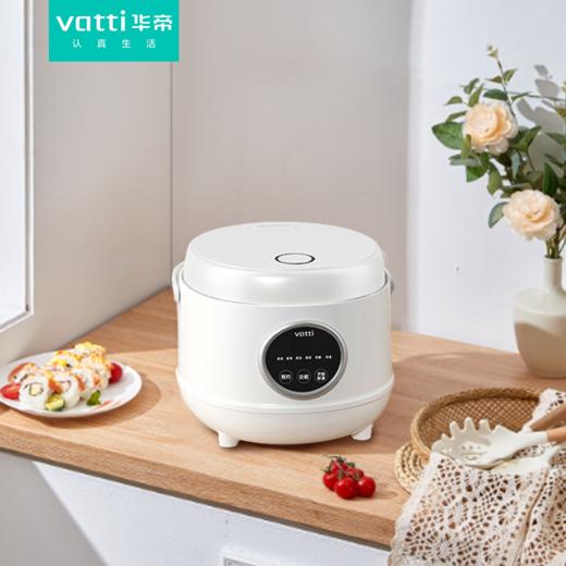 华帝低糖电饭煲VFB025C 商品图2